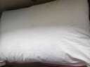 水星家纺枕头枕芯酒店枕头护颈枕头芯家用单个纯棉抗菌可水洗中枕48x74cm 实拍图