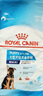 ROYAL CANIN 皇家狗粮 大型犬奶糕狗粮  通用粮 断奶离乳期幼年期 【2-15月】MAJ30大型幼犬15KG 实拍图