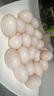 均鲜大个种鸽蛋礼盒装新鲜鸽子蛋杂粮喂养养殖信鸽蛋白鸽蛋孕妇宝宝 30枚 750g 30枚大个种鸽蛋 实拍图
