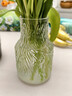 吕姆克花瓶玻璃透明小花瓶干花满天星仿真花鲜活容器水纹花瓶摆件5272 实拍图