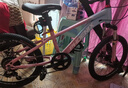 凤凰山地自行车男女变速山地车碟刹青少年儿童自行车学生单车 星际 蓝粉【变速+辐条轮】 20寸【适合125-160cm】 实拍图