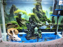 森森 鱼缸潜水泵水族箱抽水泵鱼池循环水陆两用HQB-3500 85W 实拍图