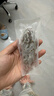 辽参大连有机冷冻海参1斤7-9只非即食京东自营旗舰店独立包装正品 实拍图