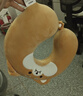 名创优品（MINISO）柴犬系列U型枕记忆棉办公室教室午休枕汽车飞机旅行颈枕生日礼物 实拍图