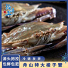 【冷冻】拾鲜生 梭子蟹活冻舟山特大螃蟹海鲜3斤梭子蟹5-7两/只 25年新蟹 源头直发包邮 实拍图