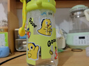 babycare儿童保温杯小松鼠婴儿宝宝学饮杯不锈钢吸管水杯壶学生上学450ml 实拍图