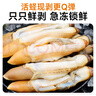 灵略 去壳去沙新鲜大号蛏子肉 花甲 花蛤 蛤蜊海鲜净重2斤生鲜 贝类 实拍图