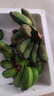 春福乐 广西小米蕉香蕉【源头直发】10水果整斤小香蕉粉蕉自然熟苹果蕉 精选5斤装【老农手挑】净4.5斤 实拍图
