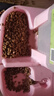 皇家宠物猫粮 幼猫猫粮K36-适用于12月龄50g*3 实拍图