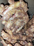 农多鲜 云南小黄姜 新鲜蔬菜现挖现发调味料火锅食材 产地直供 净重小黄姜3斤 云南小黄姜 实拍图