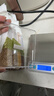 京东京造 电子秤 厨房秤克重称食物秤烘焙家用0.1g/3kg（配4节7号电池） 实拍图
