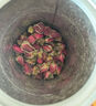 艺福堂胎菊花茶50g 新花无硫熏杭白菊 特养生凉茶级可搭配玫瑰花枸杞 实拍图