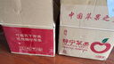 静宁苹果 【顺丰到家】甘肃红富士苹果水果 新鲜应季静宁苹果 净重8.5斤大果80-85mm 实拍图