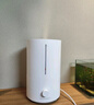 米家小米加湿器2 卧室家用办公室 桌面迷你低噪空气加湿银离子材料上加水4L大容量 小米加湿器2 300mL/h 实拍图