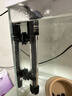 创星鱼缸加热棒电加热器自动恒温水族箱小型乌龟缸加温棒HCH 【自动恒温】适25L缸内蓝头HCH-50W 实拍图