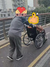 鱼跃 (yuwell)手动轮椅车H062折叠老人轻便免充气铝合金旅行手推代步 实拍图
