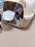 哈巴斯（Habas）便携外出折叠宠物猫国航航空箱猫咪专用车载猫笼子猫箱宠物托运箱 【25斤内宠物】烟灰白-送隔板 重量2.15kg 【升级加厚 耐磨抗压】 实拍图