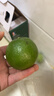 京鲜生 云南哀牢山冰糖橙/橙子 净重5斤 单果170-260g 生鲜水果礼盒 实拍图