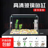 高清热弯浮法透明玻璃鱼缸客厅家用造景装饰生态中小型生态金鱼缸 热弯鱼缸-豪华升级套餐 长30*宽18*高20cm 实拍图