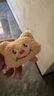 可爱毛绒小熊发绳少女百搭头绳马尾发饰发圈头饰卡通趣味皮筋新款 网红可爱小熊发圈一个 实拍图