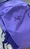 ARC'TERYX始祖鸟 MANTIS 16 BACKPACK 男女同款 背包 Aster/山菀紫 均码 实拍图