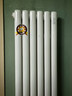 太阳花钢制暖气片家用散热片散热器卫生间背篓地暖全屋客厅卧室取暖 C款钢50方头 50mm*1柱 1.5米高单柱 实拍图