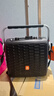 贝德音响广场舞音响家用K歌无线蓝牙手提便携式户外演出移动室外商演小型音箱 黑色6吋 双话筒  实拍图