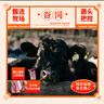 元牧希澳洲原切牛肋条 净重2斤 牛肋排烧烤肉食材原切谷饲鲜牛肉生鲜 实拍图
