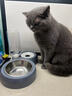 甜浪海猫碗双碗自动喂食器不锈钢狗盆幼猫吃饭喝水防打翻饮水机宠物食盆 实拍图
