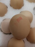 德青源柴垛儿鲜鸡蛋30枚2.58斤 无抗生素 营养早餐 家庭礼盒装 实拍图
