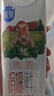三元极致娟姗纯牛奶整箱250ml*10盒 3.8g原生乳蛋白 礼盒装 实拍图