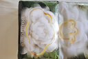 babycare金山茶花纸尿裤S58片(4-8kg)新生儿婴儿尿不湿超薄透气轻柔花苞裤 实拍图