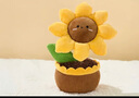 名创优品（MINISO）其乐绒绒-努力开花的太阳花公仔毛绒花束玩具玩偶生日礼物25cm 实拍图