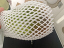 京鲜生 攀枝花凯特芒果 净重8.5斤 带箱9斤 单果400g+ 生鲜水果源头直发 实拍图