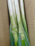 京鲜生山东正宗铁杆大葱净重3斤脆嫩佐料辅餐源头直发包邮 实拍图