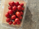 新鲜采摘圣女果樱桃小番茄蔬菜 带箱1斤精选果 实拍图
