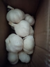 【营田半亩】蒜干蒜头蒜大蒜紫白皮大蒜当季蔬菜0.5-5斤 2斤带箱重【果径4.5-5cm】大果 实拍图