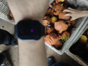 小米（MI）REDMI Watch 5 典雅黑 国家补贴 澎湃OS 2 心率血氧监测 蓝牙通话 红米手表5 智能手表 小米汽车 实拍图