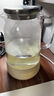 小熊（Bear）家用凉水壶 高硼硅玻璃杯1.5L 大容量冰箱冷水壶杯子啤酒杯 实拍图