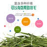 洁西 烘干小麦草 兔兔牧草干草适用于荷兰猪龙猫豚鼠粮食饲料500g 实拍图