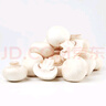 【绿色认证】鲜美白蘑菇230g 实拍图