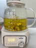 美的（Midea）花漾0胶水全玻璃养生壶 多功能煮茶壶 母婴烧水壶 恒温电热水壶 全自动一体煮茶器1.2L YS12B302J 实拍图