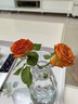 梵冈尬蒂北欧精致迷你玻璃花瓶水养鲜花装饰小花瓶感花器摆件 10钻石 实拍图