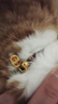 茨格曼 猫项圈猫铃铛狗狗卡通铃铛项圈挂绳宠物铃铛项链泰迪项圈饰品 实拍图