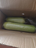 湖南本地白丝瓜白玉丝瓜清甜可口现摘现发新鲜蔬菜生鲜 白丝瓜 1斤 ±0.1斤* 1箱 实拍图