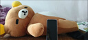 澳颜莱轻松熊玩偶大号趴姿肥宅小熊抱枕毛绒玩具陪睡公仔娃娃生日礼物女 趴姿肥宅轻松熊 30cm 实拍图