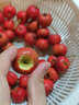 沂蒙山新鲜山楂大金星山楂大五棱鲜果特级大果山楂泡酒冰糖葫芦 1斤净重新鲜大金星山楂大果 实拍图