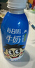 旺旺 旺仔牛奶 每日喝牛奶245ml*12瓶 礼盒装 送礼佳品 实拍图