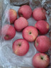 佳农 烟台红富士苹果 净重10斤 一级果 单果重160g+  生鲜水果礼盒 实拍图