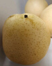 京鲜生 长城老树皇冠梨 净重5斤 单果250g+ 生鲜水果礼盒 实拍图